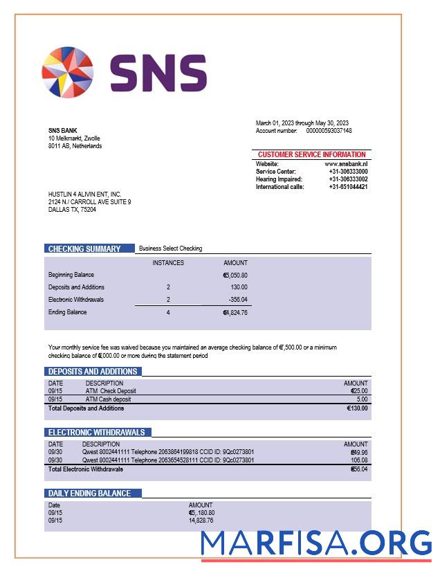 Printable SNS Bank enterprise account statement Word and PDF template